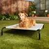 Frisco Steel-Framed Elevated Dog Bed -Frisco 112076 MAIN. AC SS1800 V1674156718