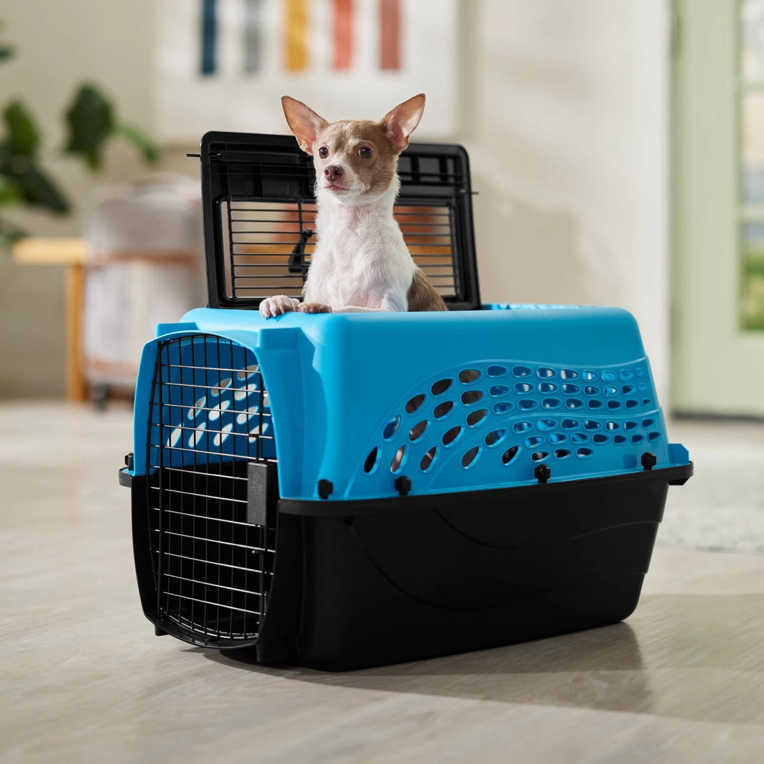 Frisco Two Door Top Load Plastic Dog & Cat Kennel 3 Frisco Two Door Top Load Plastic Dog & Cat Kennel