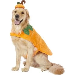 Frisco Pumpkin Dog & Cat Costume -Frisco 144446 PT2. AC SS1800 V1567174700