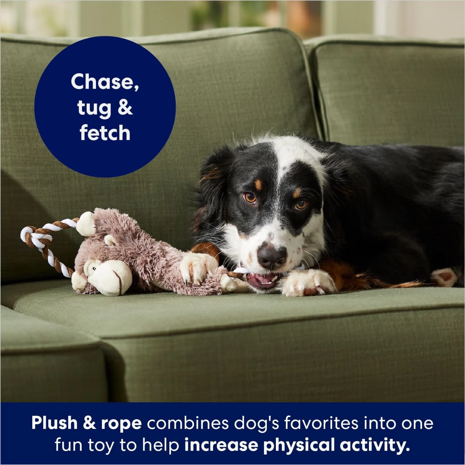 Frisco Monkey Plush With Rope Squeaky Dog Toy 6 Frisco Monkey Plush With Rope Squeaky Dog Toy - Image 4