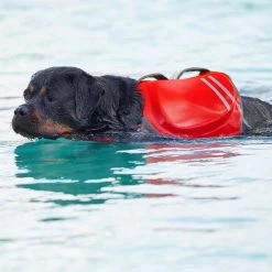 Frisco Neoprene Dog Life Jacket -Frisco 152465 PT8. AC SS1800 V1559154728