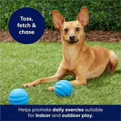 Frisco Foam Rubber Floating Fetch Ball No Squeak Dog Toy -Frisco 152798 PT4. AC SS1800 V1686579140