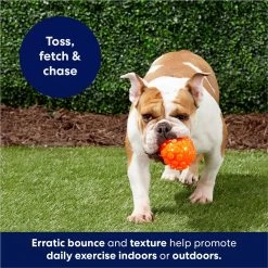 Frisco Fetch Squeaky TPR Ball Dog Toy -Frisco 152801 PT4. AC SS1800 V1686580091