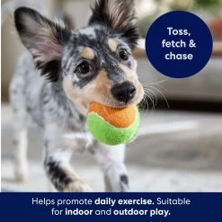 Frisco Fetch Squeaking Colorful Tennis Ball Dog Toy 12 Frisco Fetch Squeaking Colorful Tennis Ball Dog Toy -Frisco 152846 PT3. AC SS1800 V1691776635
