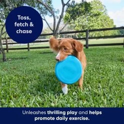 Frisco Fetch Rubber Flyer Dog Toy -Frisco 152848 PT5. AC SS1800 V1692370079