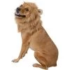Frisco Lion Mane Dog & Cat Costume -Frisco 158732 MAIN. AC SS1800 V1625873829