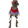 Frisco Front Walking Cowboy Dog & Cat Costume 2 Frisco Front Walking Cowboy Dog & Cat Costume -Frisco 158842 Main. AC SS1800 V1564408627