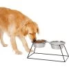 Frisco Pyramid Elevated Stainless Steel Double Diner Dog & Cat Bowl 1 Frisco Pyramid Elevated Stainless Steel Double Diner Dog & Cat Bowl -Frisco 159884 MAIN. AC SS1800 V1583424776