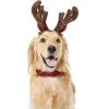 Frisco Holiday Antler Headband & Bell Collar Dog & Cat Costume 1 Frisco Holiday Antler Headband & Bell Collar Dog & Cat Costume -Frisco 160658 Main. AC SS1800 V1568818034