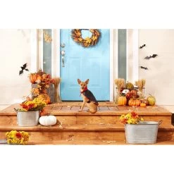 Frisco Vampire Cape Dog & Cat Costume -Frisco 160793 PT3. AC SS1800 V1567176564