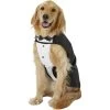 Frisco Formal Dog & Cat Tuxedo, Black -Frisco 160819 Main. AC SS1800 V1564075074