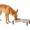 Frisco Wood Elevated Stainless Steel Double Diner Dog & Cat Bowl -Frisco 161144 MAIN. AC SS1800 V1578432855