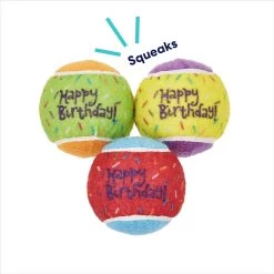 Frisco Birthday Fetch Squeaky Tennis Ball Dog Toy 10 Frisco Birthday Fetch Squeaky Tennis Ball Dog Toy -Frisco 162914 PT2. AC SS1800 V1692020013