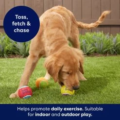 Frisco Birthday Fetch Squeaky Tennis Ball Dog Toy 11 Frisco Birthday Fetch Squeaky Tennis Ball Dog Toy -Frisco 162914 PT3. AC SS1800 V1692019914