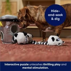 Frisco Trash Can & Raccoons Hide & Seek Puzzle Plush Squeaky Dog Toy 12 Frisco Trash Can & Raccoons Hide & Seek Puzzle Plush Squeaky Dog Toy -Frisco 174757 PT5. AC SS1800 V1691784248