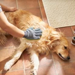Frisco Dog & Cat Grooming Glove, Right Hand -Frisco 206845 PT5. AC SS1800 V1610766425