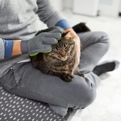 Frisco Dog & Cat Grooming Glove, Right Hand -Frisco 206845 PT6. AC SS1800 V1610762805