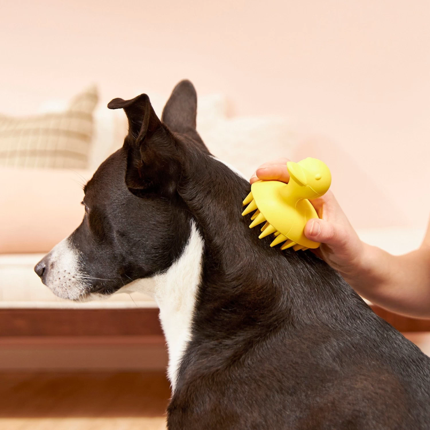 Frisco Rubber Duckie Dog & Cat Curry Brush 5 Frisco Rubber Duckie Dog & Cat Curry Brush - Image 3