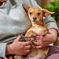 Frisco Dog & Cat Nail Clippers -Frisco 206880 PT3. AC SS1800 V1680186387