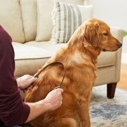 Frisco Shedding Blade Dog Brush, One Size -Frisco 206895 PT6. AC SS1800 V1680186099