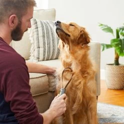 Frisco Shedding Blade Dog Brush, One Size -Frisco 206895 PT7. AC SS1800 V1680186159