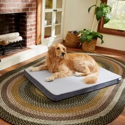 Frisco Cooling Orthopedic Pillow Dog Bed W/Removable Cover
