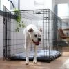 Frisco Fold & Carry Double Door Collapsible Wire Dog Crate & Mat Kit -Frisco 212633 MAIN. AC SS1800 V1667228755