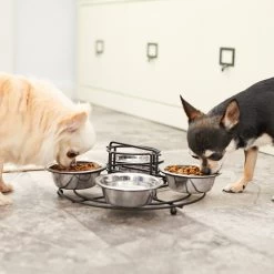 Frisco Multi Pet Feeding 4-Bowls Stainless Steel Dog & Cat Bowls, 0.5 Cup -Frisco 213787 PT7. AC SS1800 V1599090064