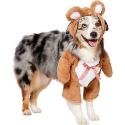 Frisco Front Walking Teddy Bear Dog & Cat Costume -Frisco 215507 PT3. AC SS1800 V1624402415