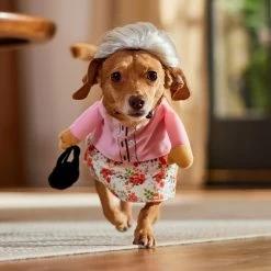 Frisco Front Walking Granny Dog & Cat Costume -Frisco 215577 PT8. AC SS1800 V1689621333