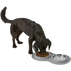 Frisco Double Stainless Steel Pet Bowl With Silicone Mat -Frisco 215986 PT5. AC SS1800 V1605652436