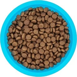 Frisco Plastic Suction Bowl, Blue 14 Frisco Plastic Suction Bowl, Blue -Frisco 216037 PT4. AC SS1800 V1591020655