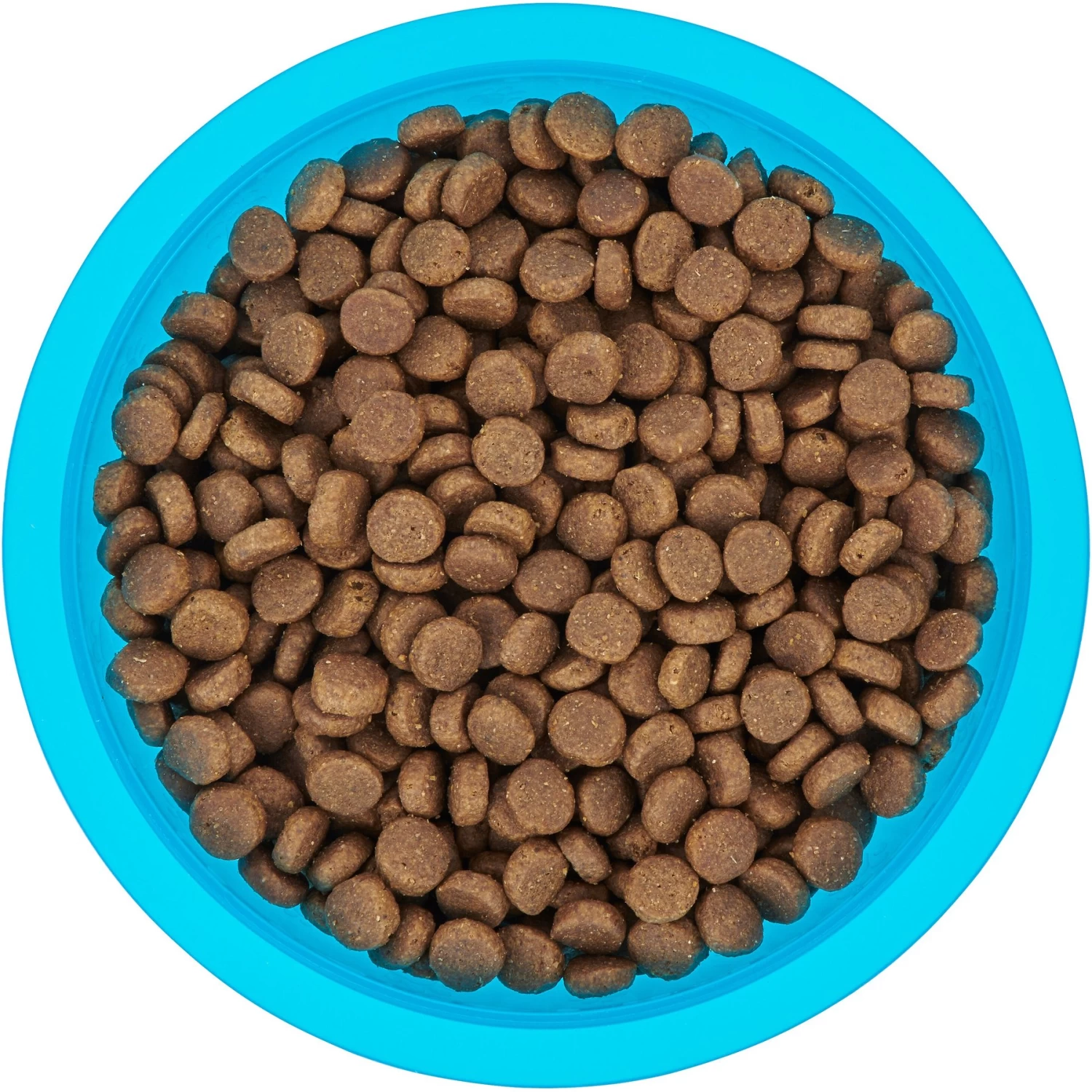 Frisco Plastic Suction Bowl, Blue 7 Frisco Plastic Suction Bowl, Blue - Image 5