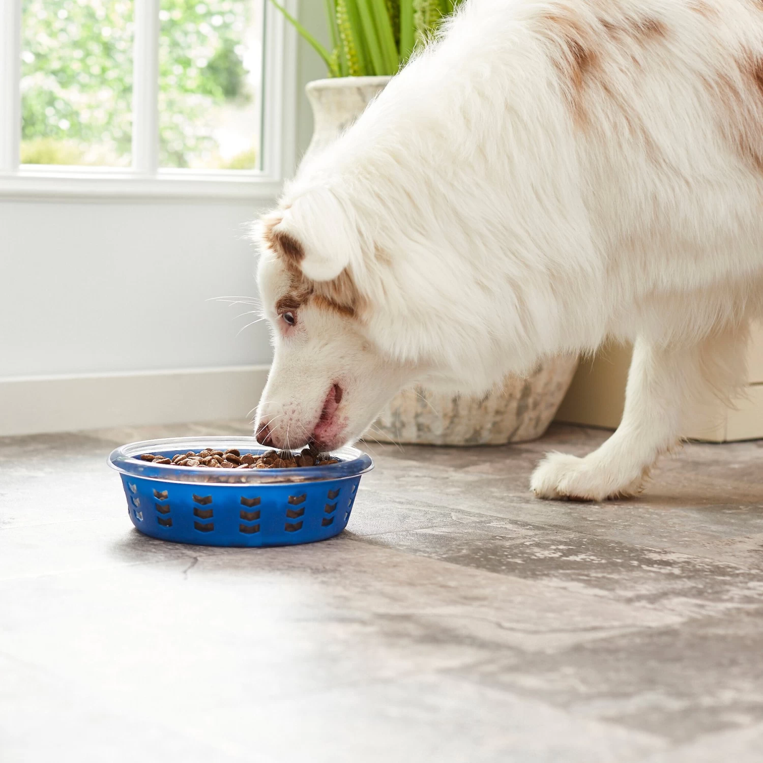 Frisco Chevron Design Glass Bowl With Silicone Sleeve 8 Frisco Chevron Design Glass Bowl With Silicone Sleeve - Image 6