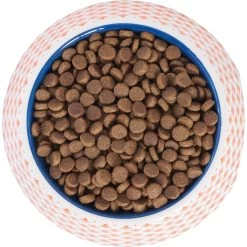 Frisco Southwest Melamine Bowl -Frisco 216064 PT4. AC SS1800 V1591021009