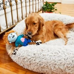 Frisco Zombie Boy Plush With Rope Squeaky Dog Toy -Frisco 218569 PT6. AC SS1800 V1597599376