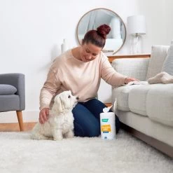 Frisco Stain & Odor Remover Wipes, 70 Count -Frisco 222149 PT1. AC SS1800 V1602837983