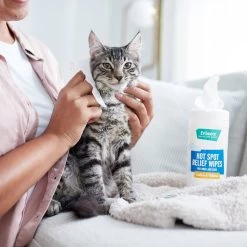 Frisco Hot Spot Relief Wipes 8 Frisco Hot Spot Relief Wipes -Frisco 222163 PT2. AC SS1800 V1602831392