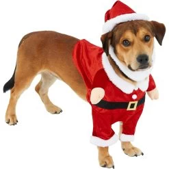Frisco Front Walking Santa Dog & Cat Costume, 1 Count 11 Frisco Front Walking Santa Dog & Cat Costume, 1 Count -Frisco 228785 PT3. AC SS1800 V1631300866