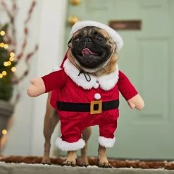 Frisco Front Walking Santa Dog & Cat Costume, 1 Count 14 Frisco Front Walking Santa Dog & Cat Costume, 1 Count -Frisco 228785 PT7. AC SS1800 V1601560869