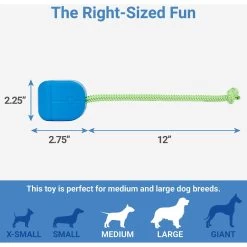 Frisco Retro PC Mouse Rubber Tug & Fetch Dog Toy -Frisco 230385 PT1. AC SS1800 V1599943590