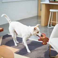 Frisco Holiday Gingerbread Man Flat Plush Squeaky Dog Toy -Frisco 233241 PT2. AC SS1800 V1601311903