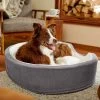 Frisco Bolster Cat & Dog Bed -Frisco 235034 MAIN. AC SS1800 V1602690455