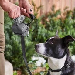 Frisco Large Size Dog Poop Bags With Fabric Dispenser -Frisco 237013 PT6. AC SS1800 V1610762789