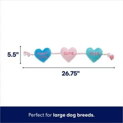 Frisco Valentine Candy Hearts Plush With Rope Squeaky Dog Toy 7 Frisco Valentine Candy Hearts Plush With Rope Squeaky Dog Toy -Frisco 241725 PT1. AC SS1800 V1701365128