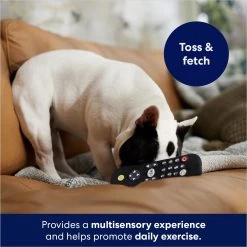 Frisco Zoomies & Chill Remote Latex Squeaky Dog Toy 10 Frisco Zoomies & Chill Remote Latex Squeaky Dog Toy -Frisco 241753 PT6. AC SS1800 V1686580150