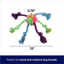 Frisco Fetch Colorful Ball Knot Rope Dog Toy -Frisco 242159 PT1. AC SS1800 V1695748416