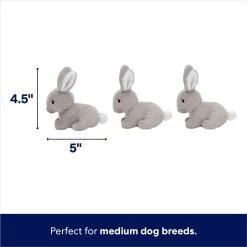 Frisco Spring Bunny Burrow Hide & Seek Plush Squeaky Dog Toy -Frisco 248039 PT2. AC SS1800 V1700243718