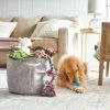 Frisco Round Collapsible Pet Toy Storage Bin, Gray Basket Weave 2 Frisco Round Collapsible Pet Toy Storage Bin, Gray Basket Weave -Frisco 250585 MAIN. AC SS1800 V1615242785