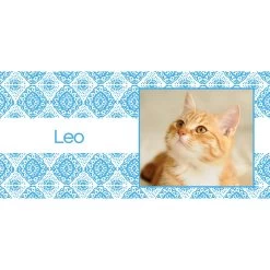 Frisco Double Walled Boho Damask Personalized Tumbler, 30-oz Cup -Frisco 250749 PT2. AC SS1800 V1606680445